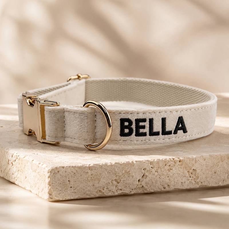 Coleiras Personalizadas Bordad - Embroidery Name Designs avaliação e preço